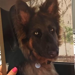 Meet your Posher, Royce-charla